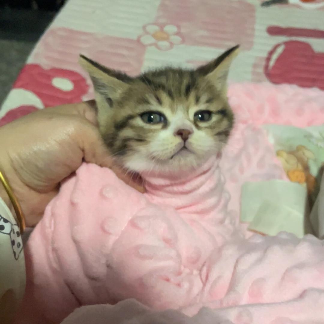 不想上班