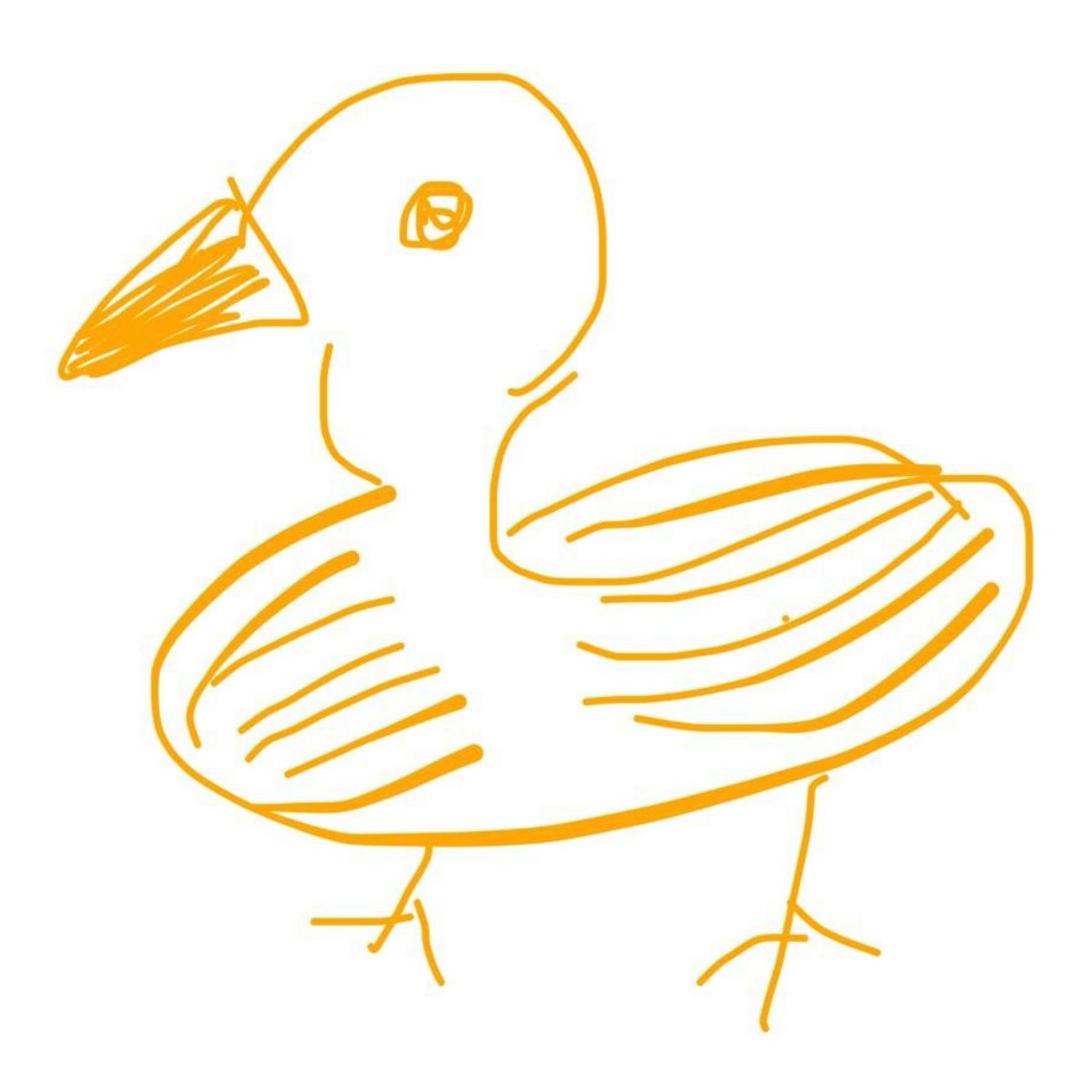Random Duck