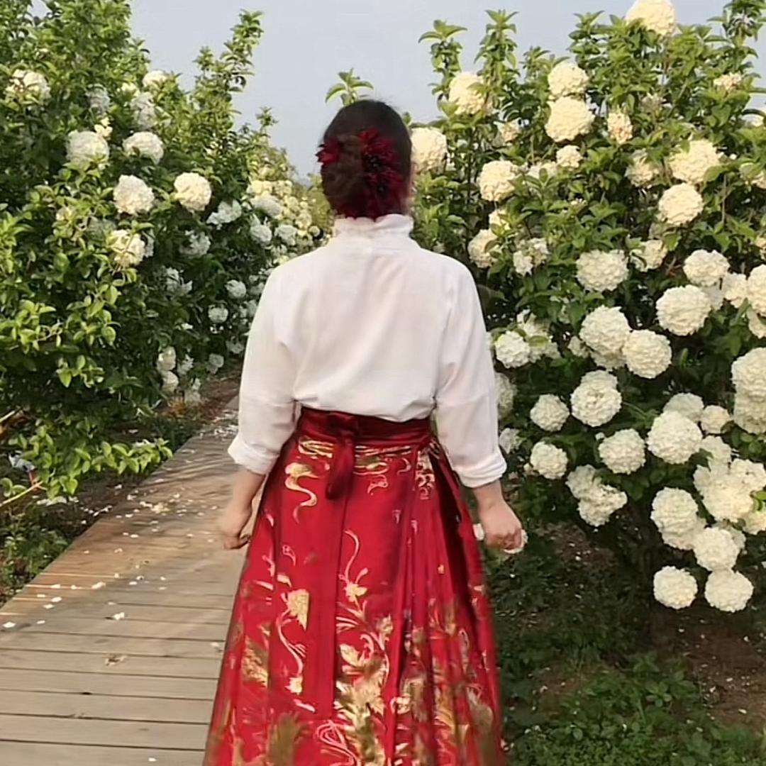 燕子🌹🌹🌹