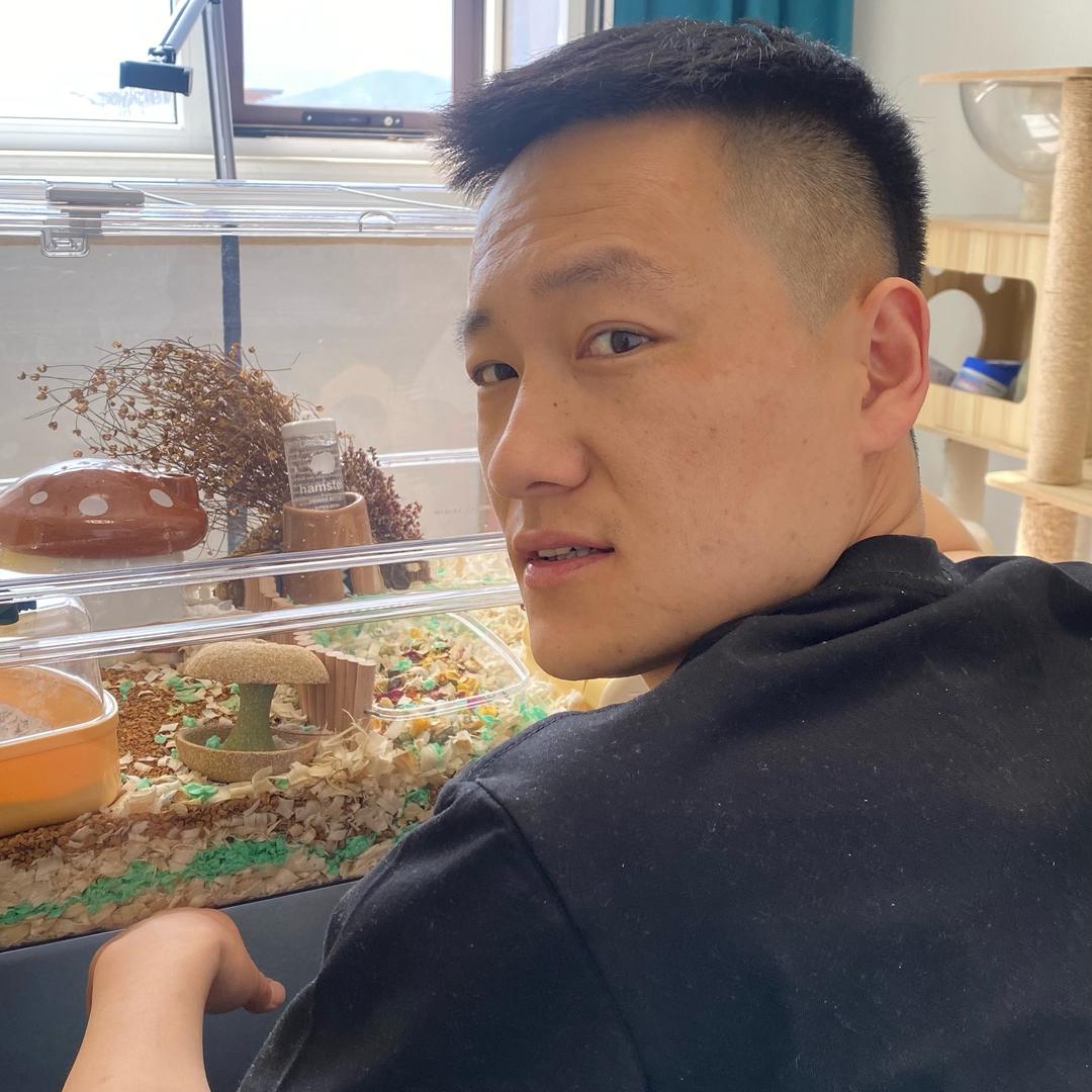 金仔养鼠记
