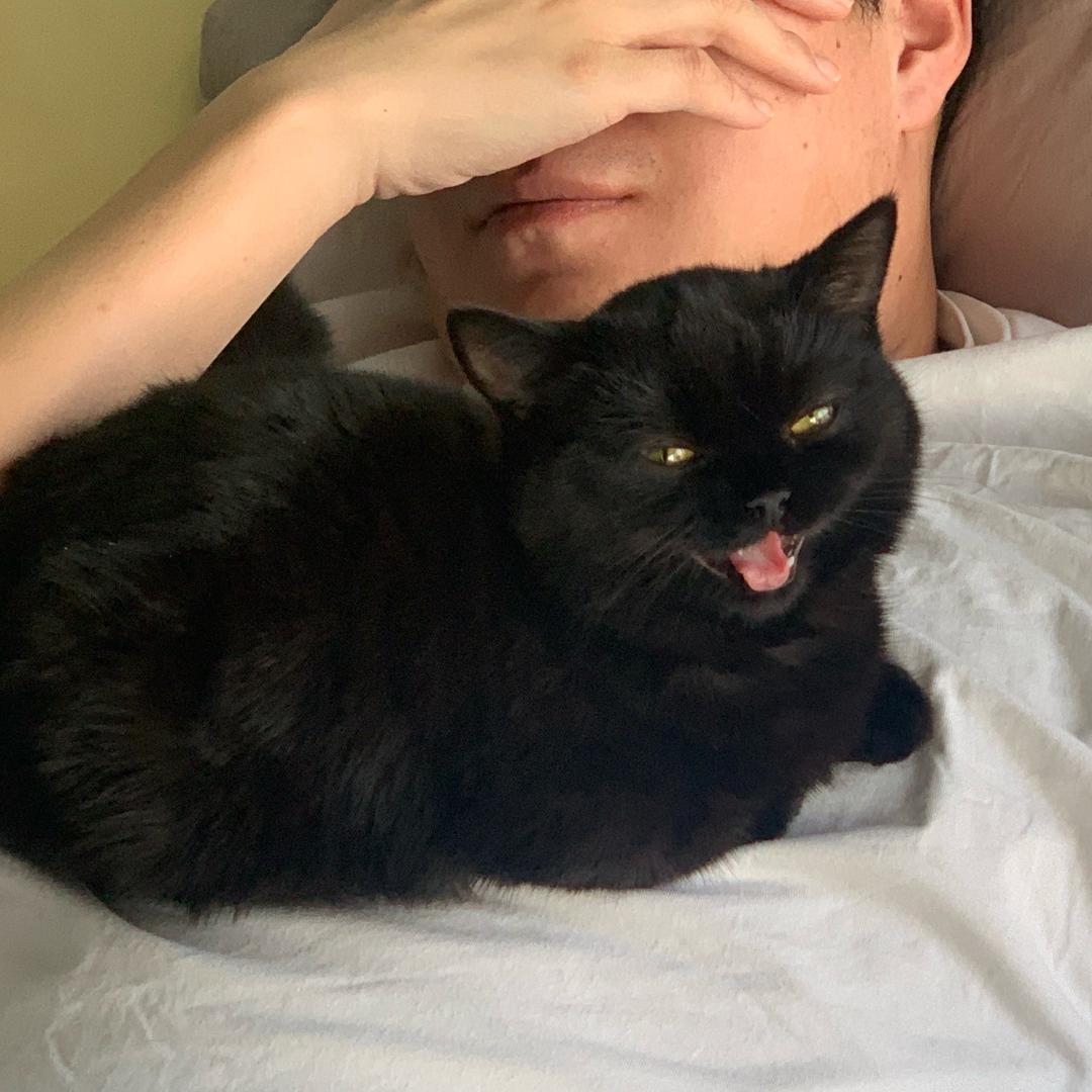 醒目的老父亲鞋腿分享版