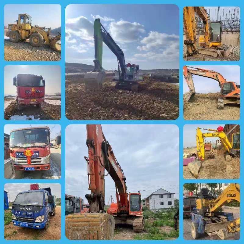 山东双洋工程杨晓栋