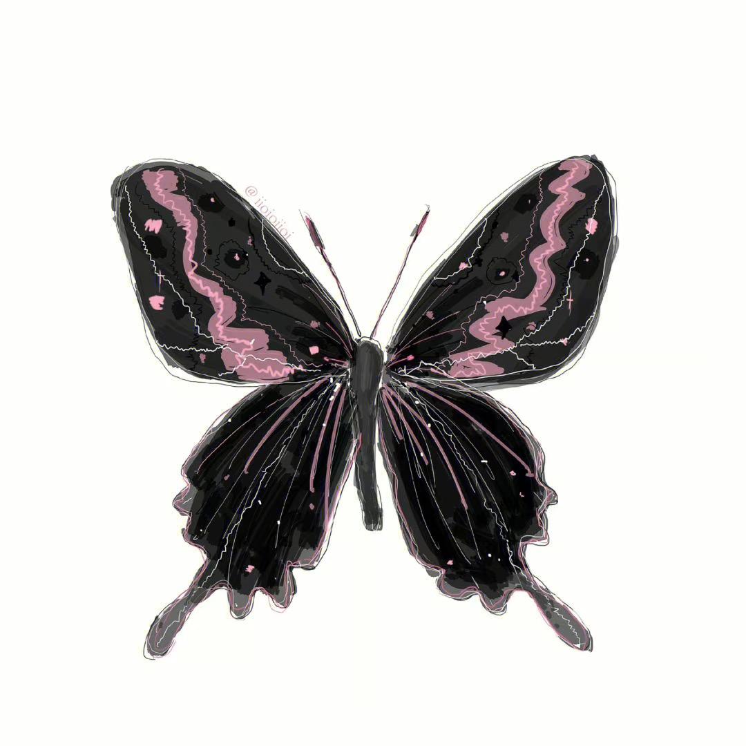 你吃不吃