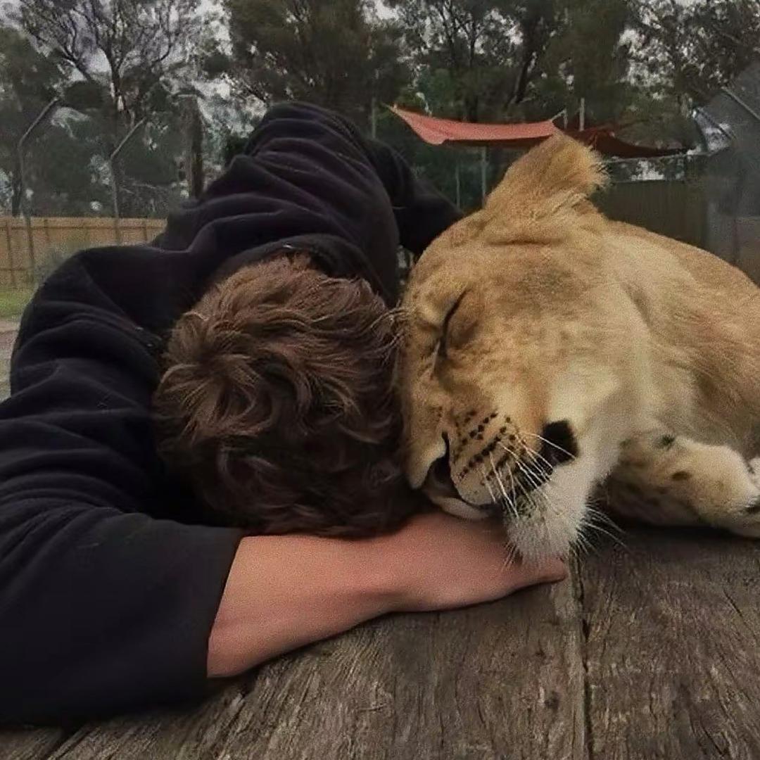𝓛𝓮𝓸
