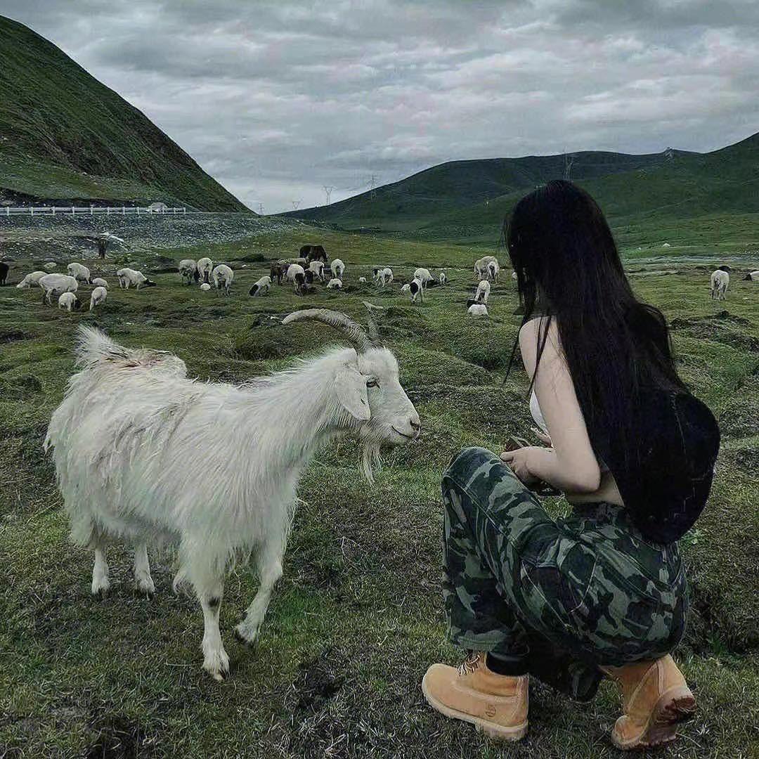 鹿柒柒.头像