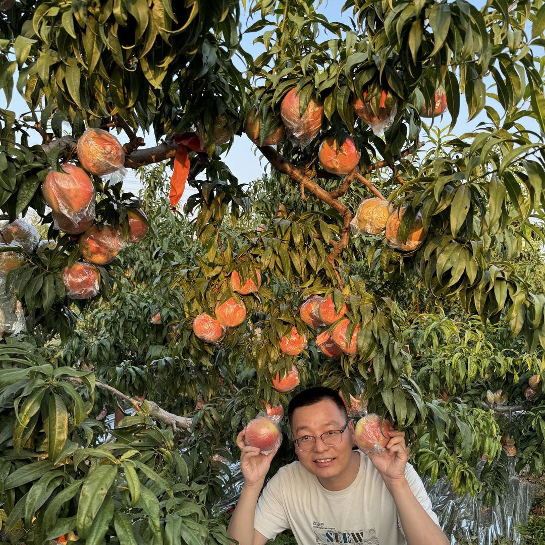 鲜果时光果园