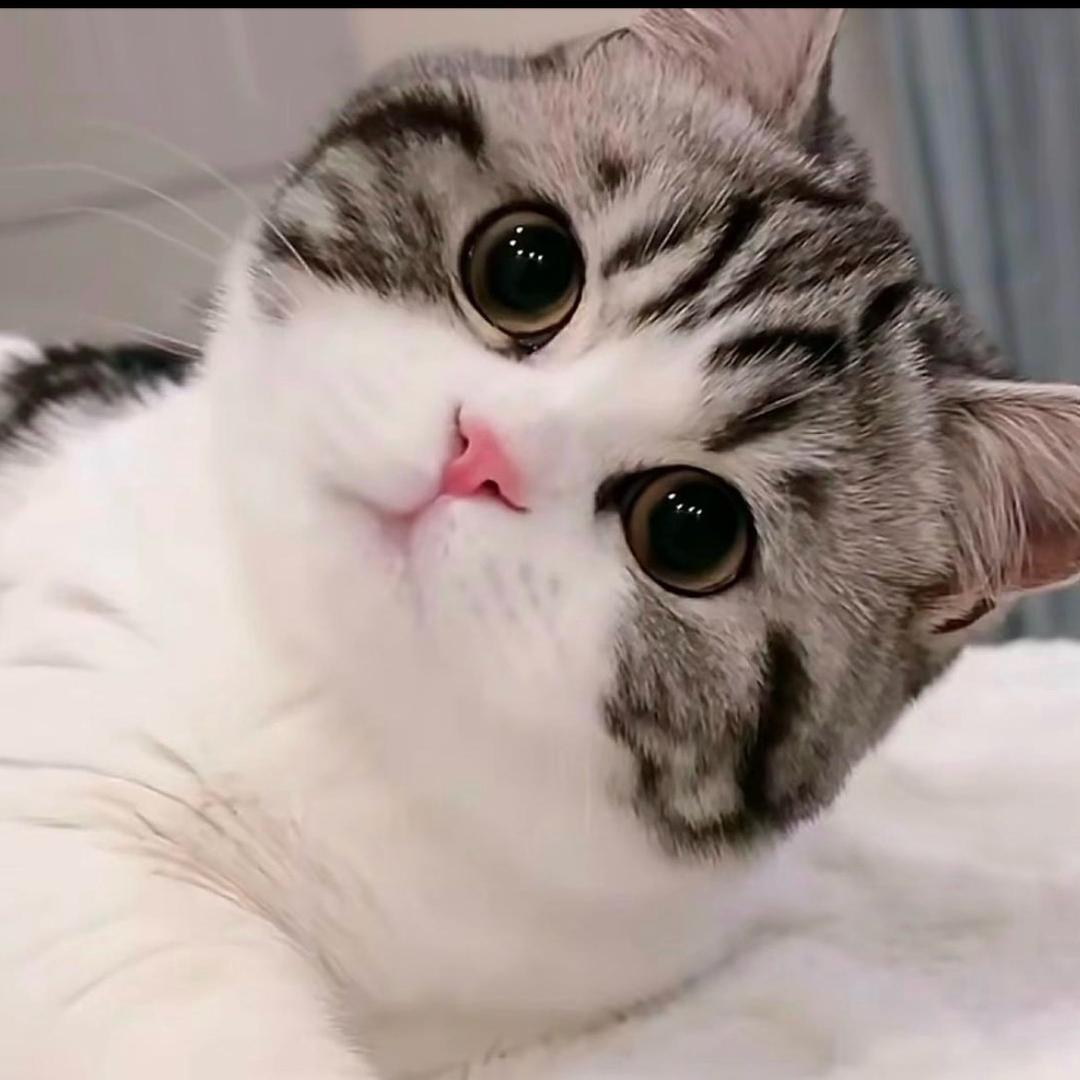 Oooo
