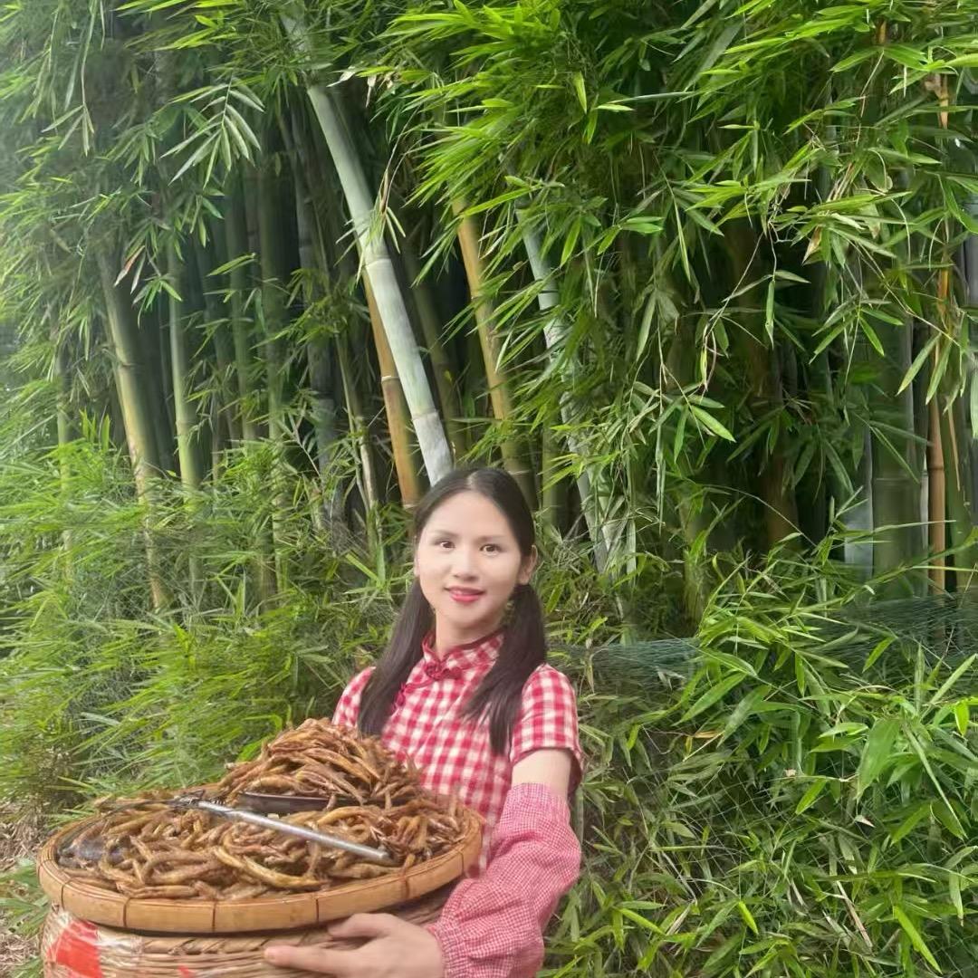 渔民婷妹子