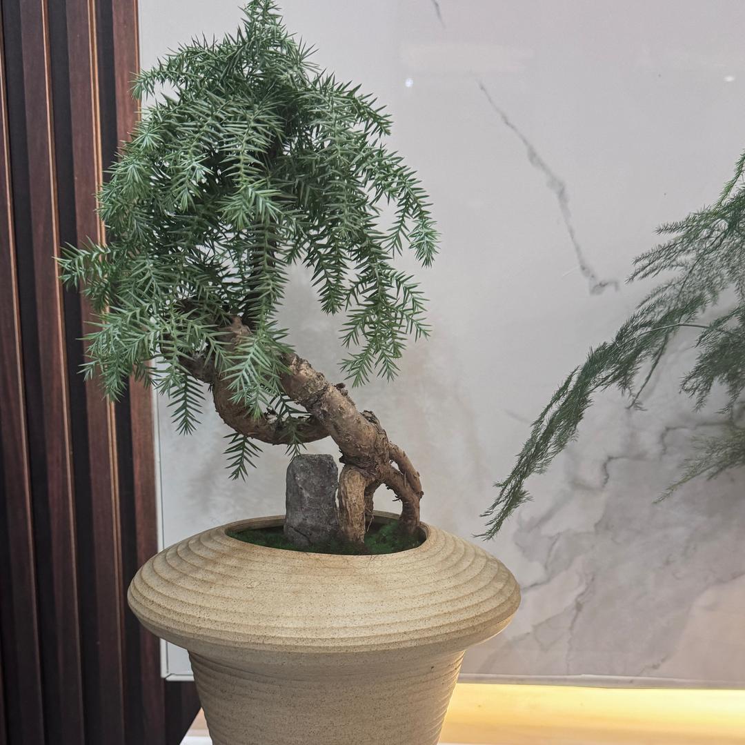 颖睿