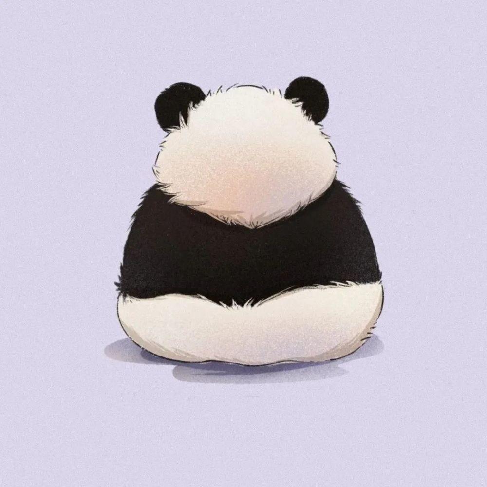 小贺