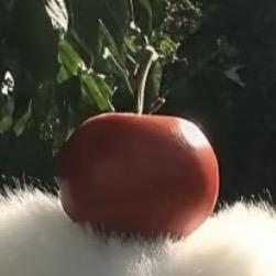 加麻加辣小🍎