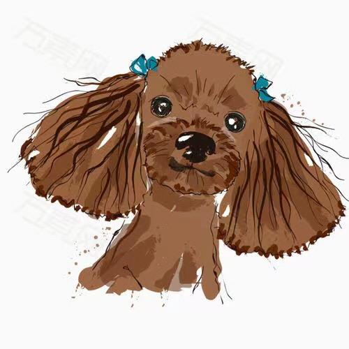 陈元宝是只小可爱