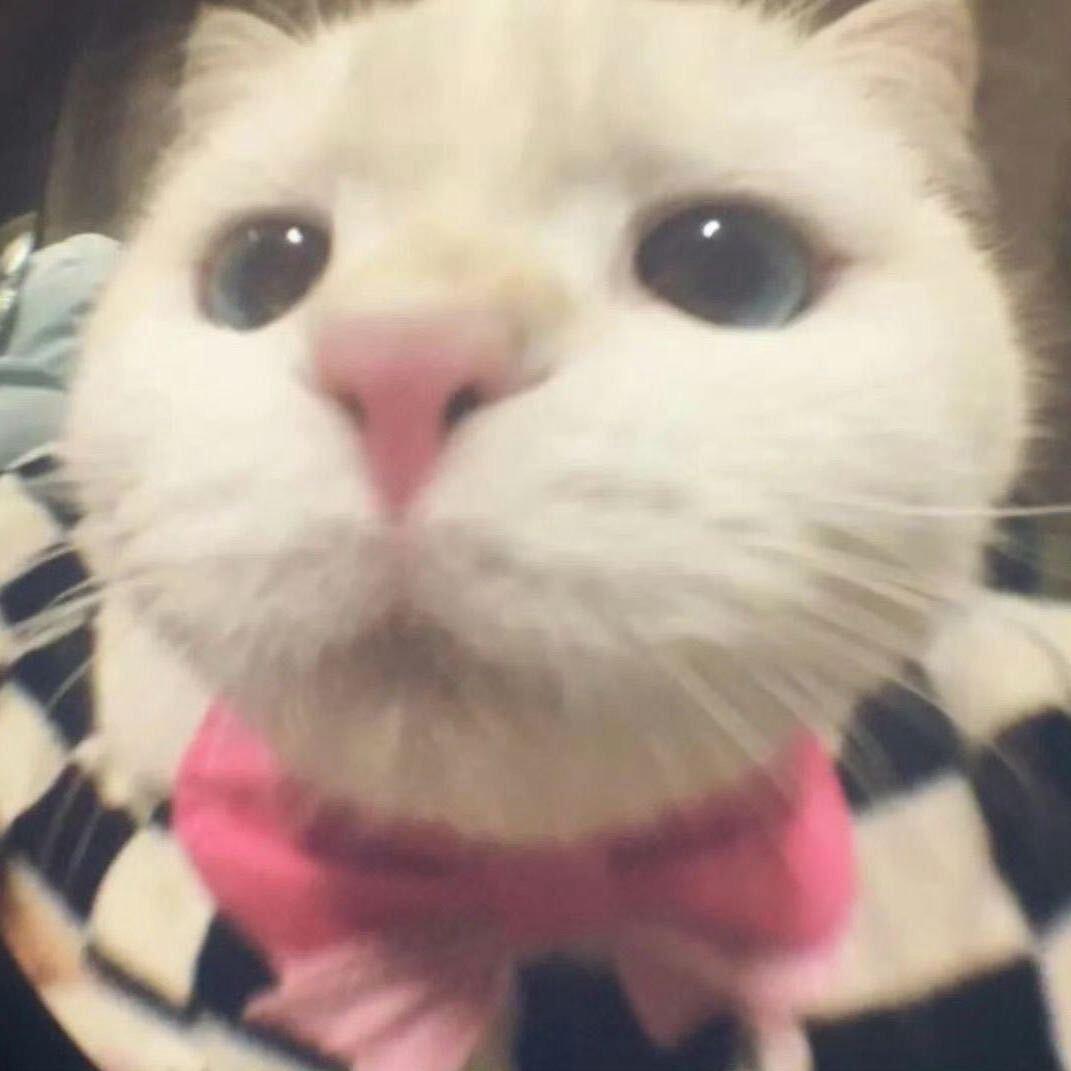 小锋冲冲冲！