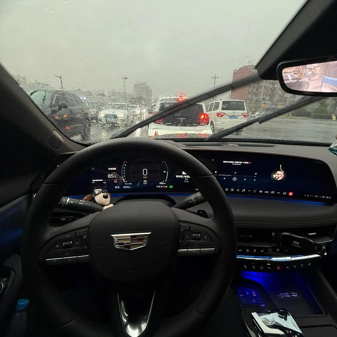 ࿑རྨི་ལམ࿑