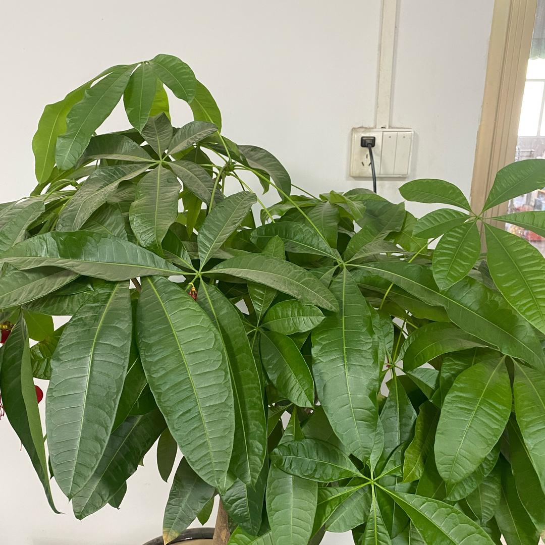 阳江海润刀具