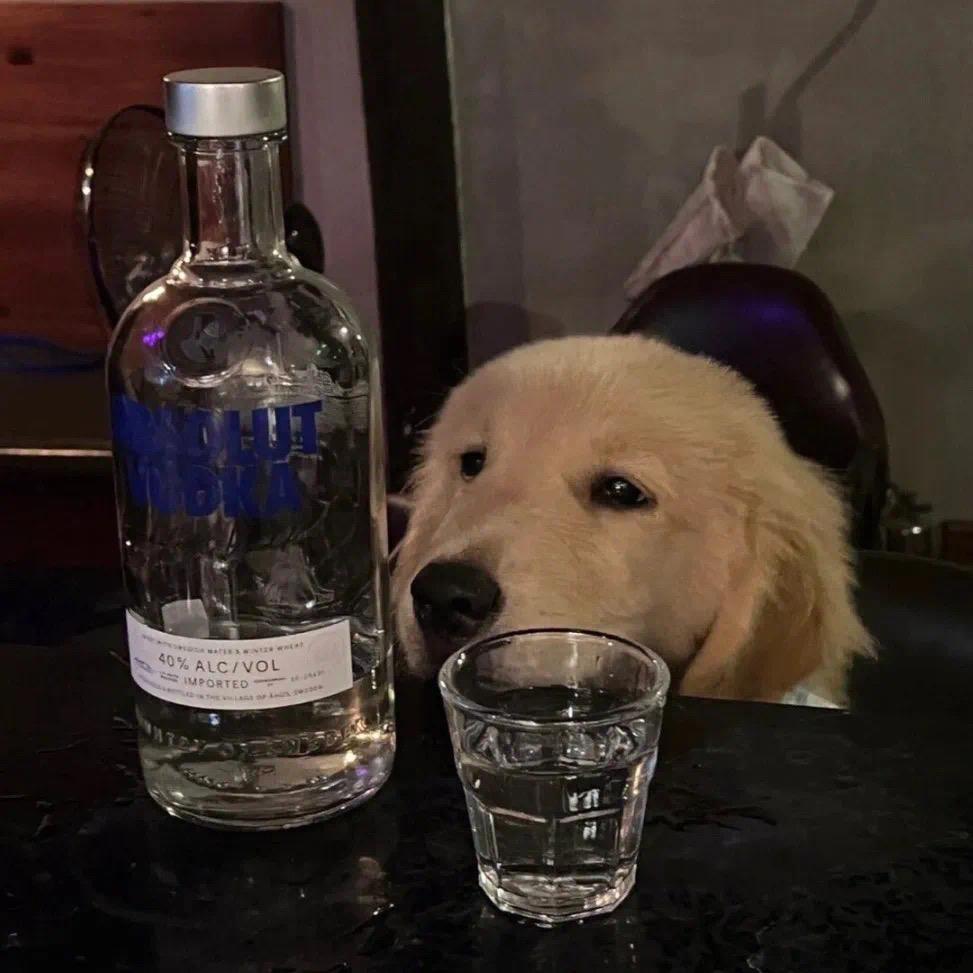 月有阴晴