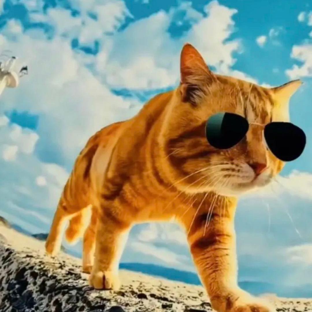 璀璨璟园，小王