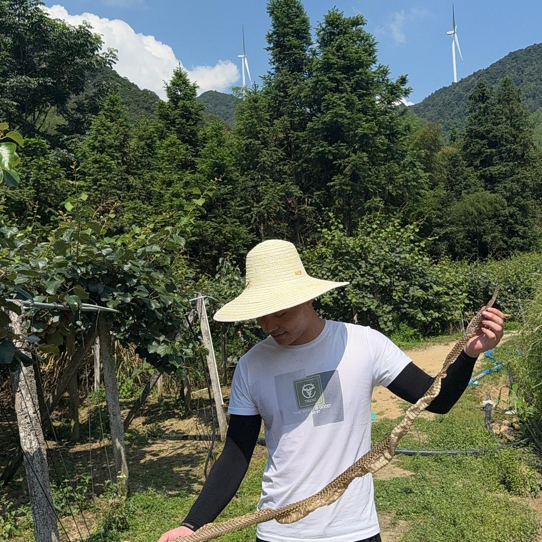 阿辉优选