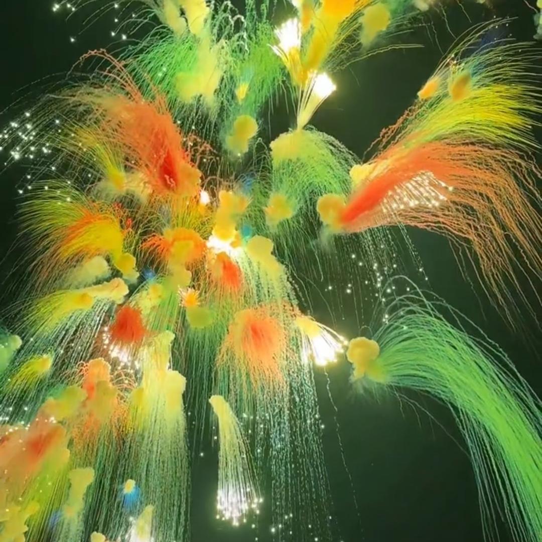 好运常相伴(烟花秀)🎆