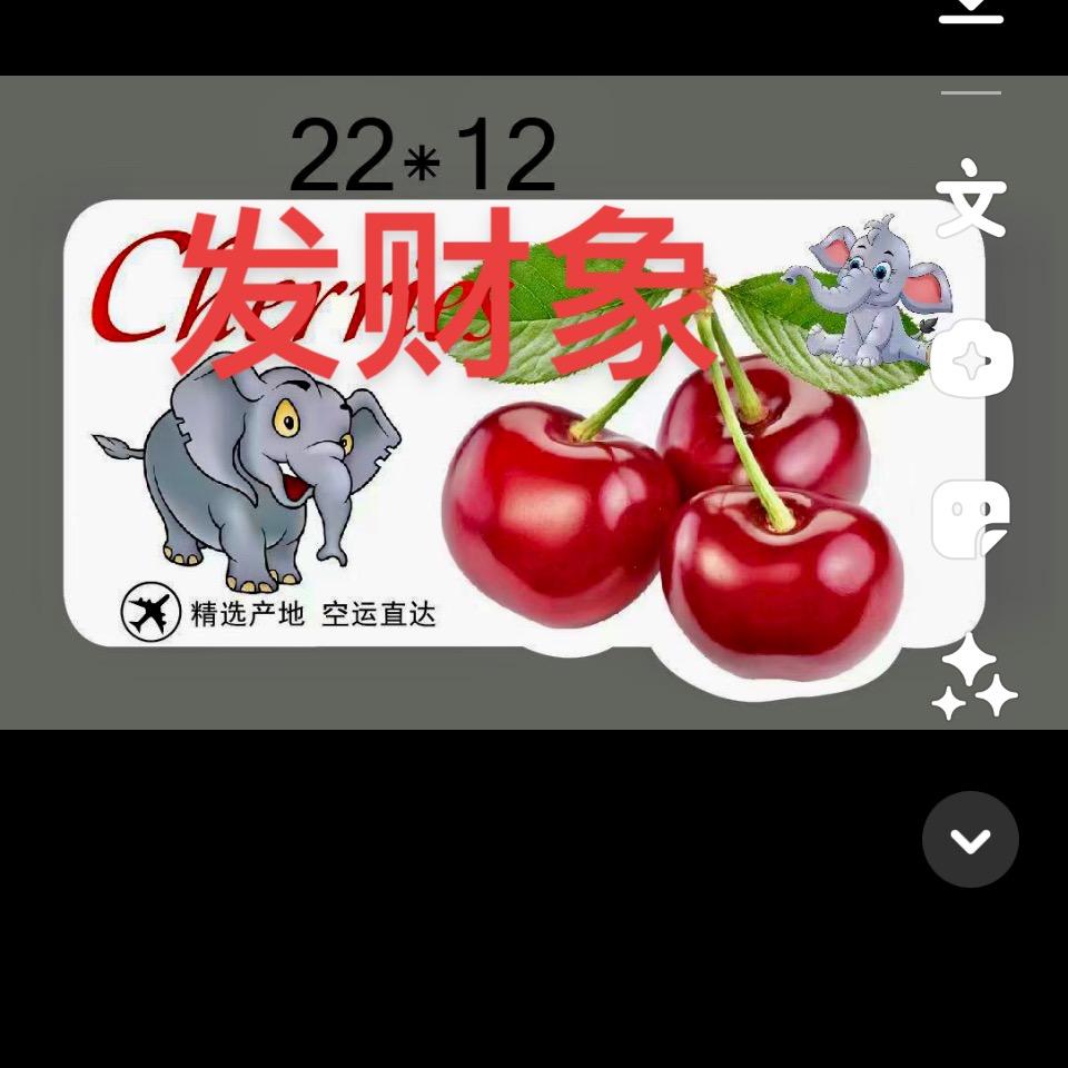孙理成张（萍姐姐）