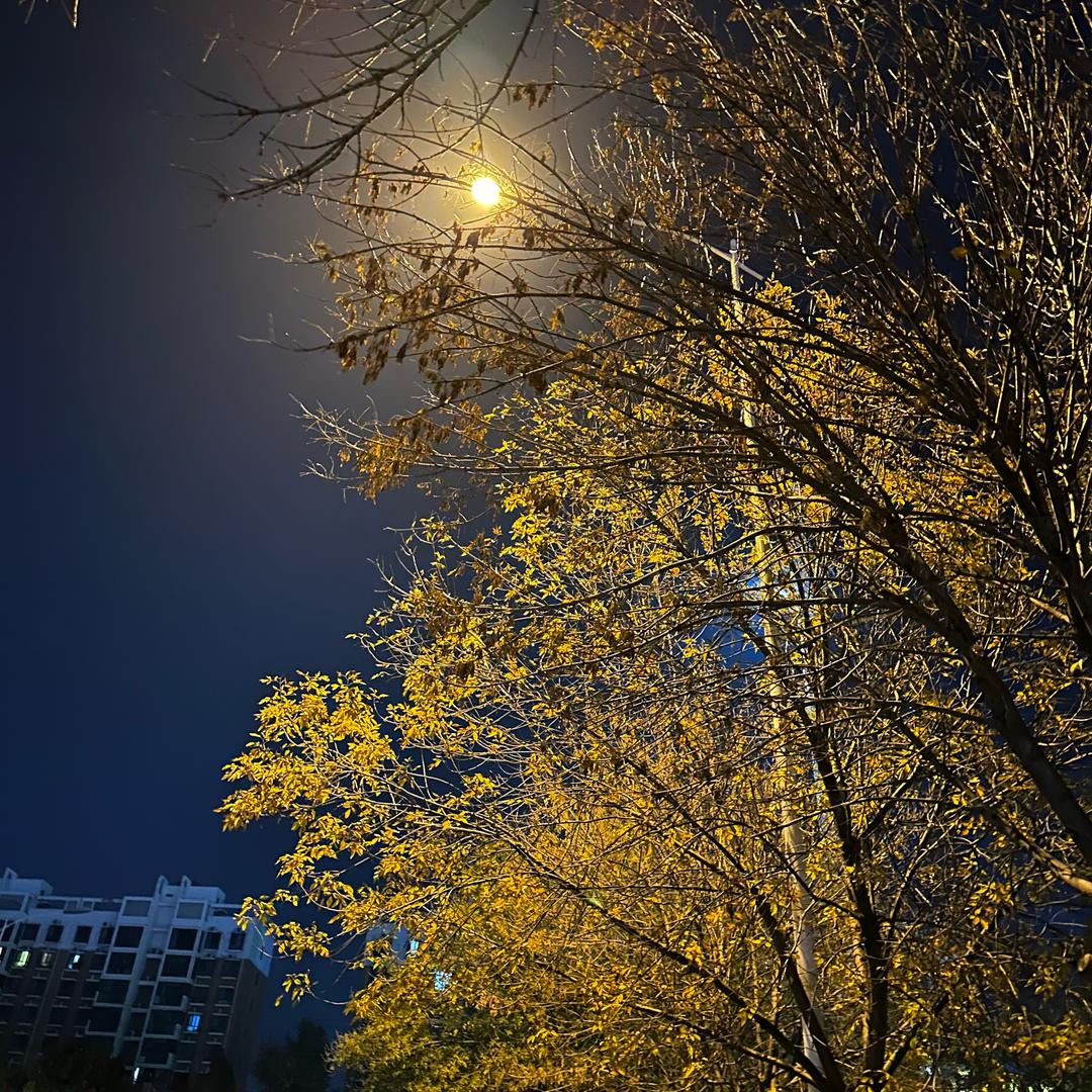 探