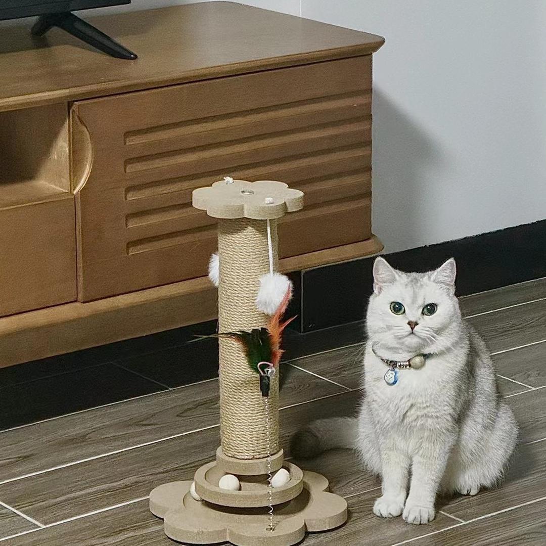 远大前程