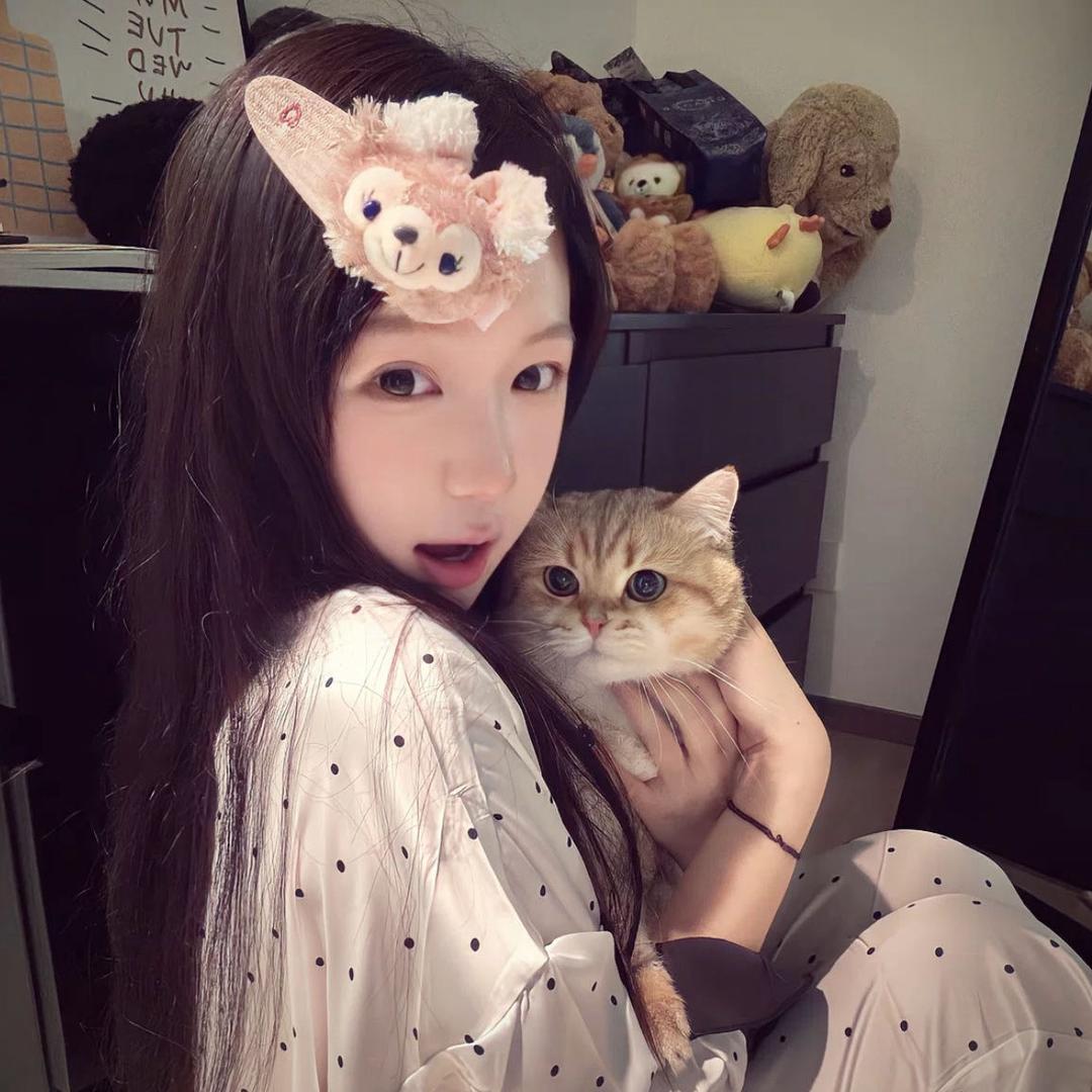 忧郁的狗熊