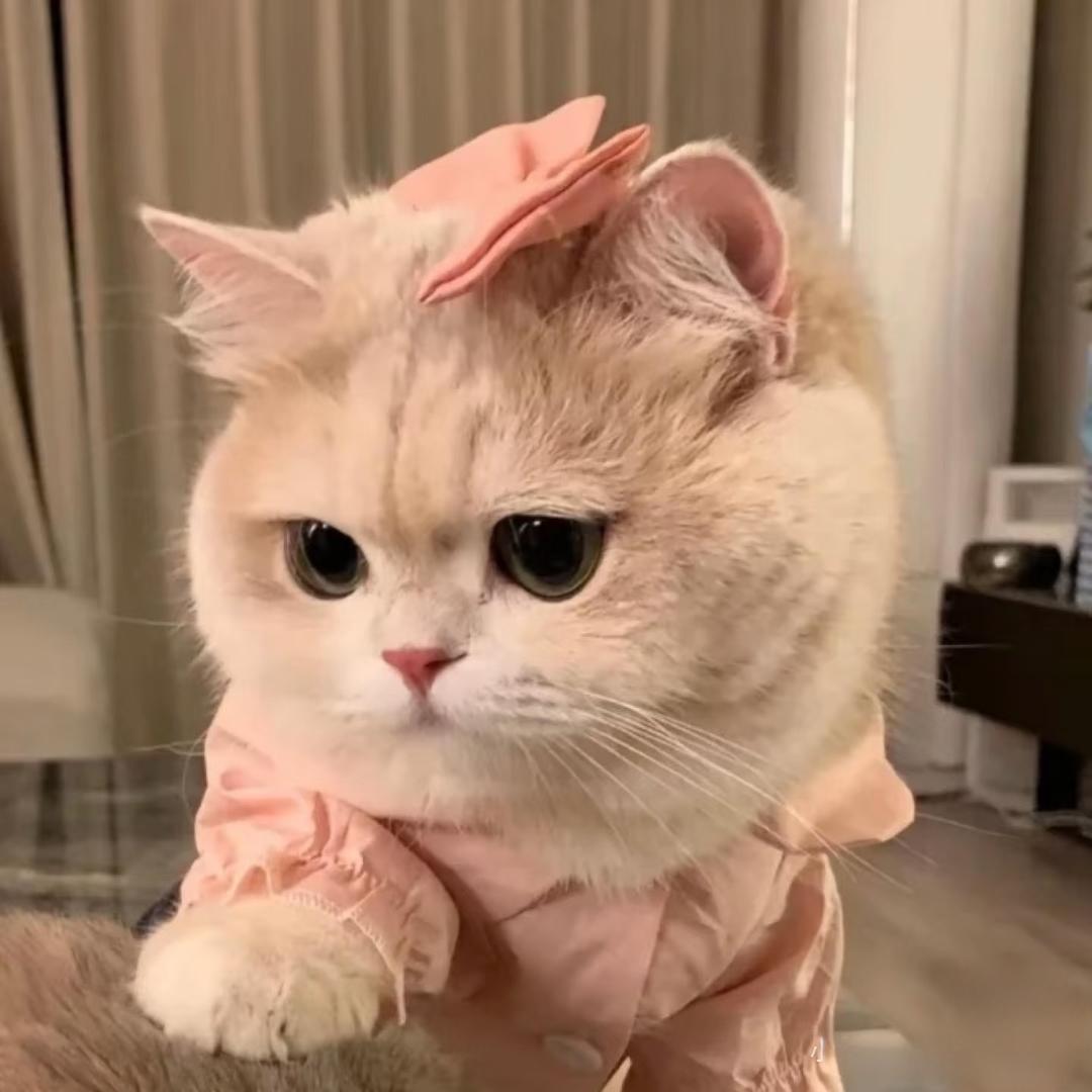 萌系小欣^🧁