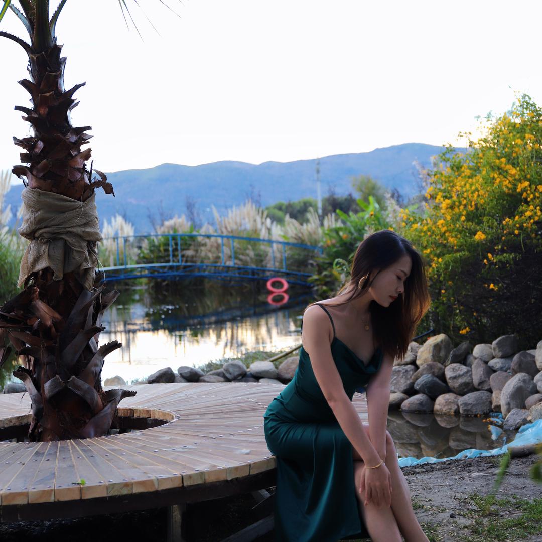 跳舞的花掌柜🧚‍♀️