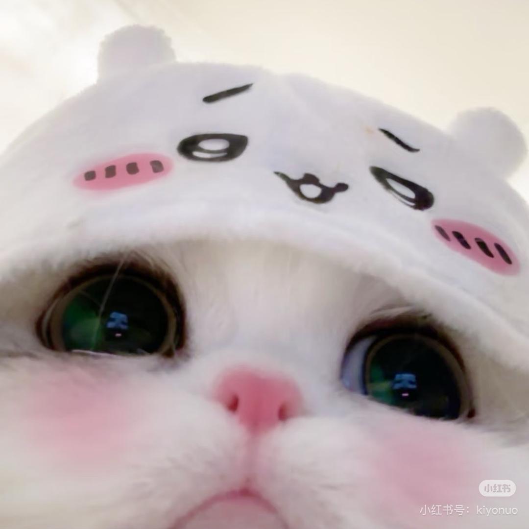 小丸子的丸