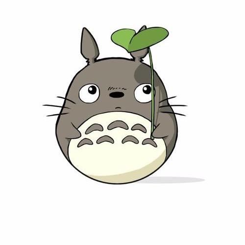龙猫胖胖