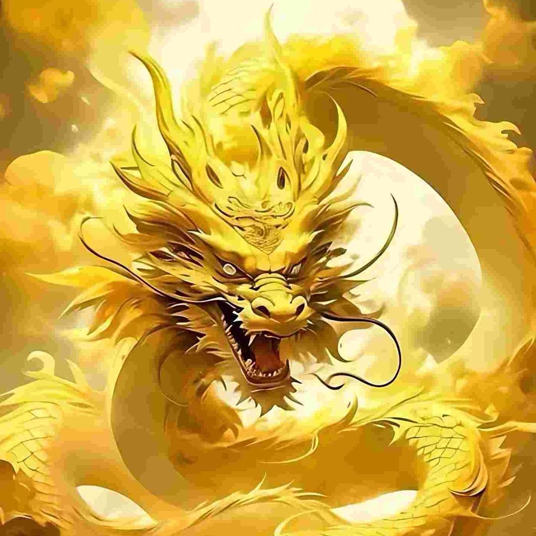 优优好物