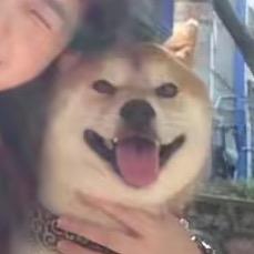 迷糊老师