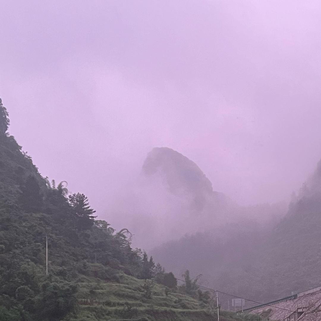 智智（王者荣耀）