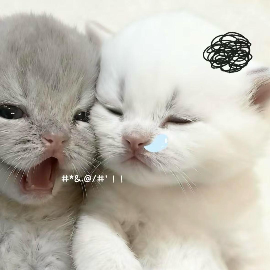 给小嘉一巴掌