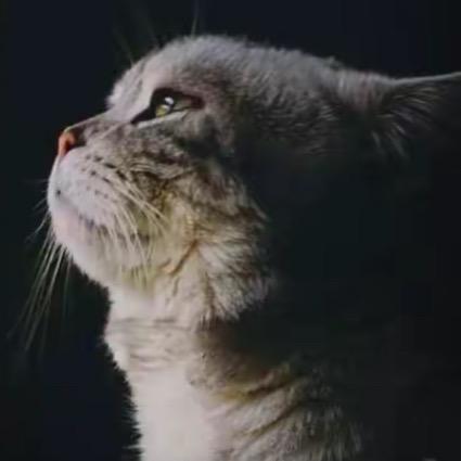 越。