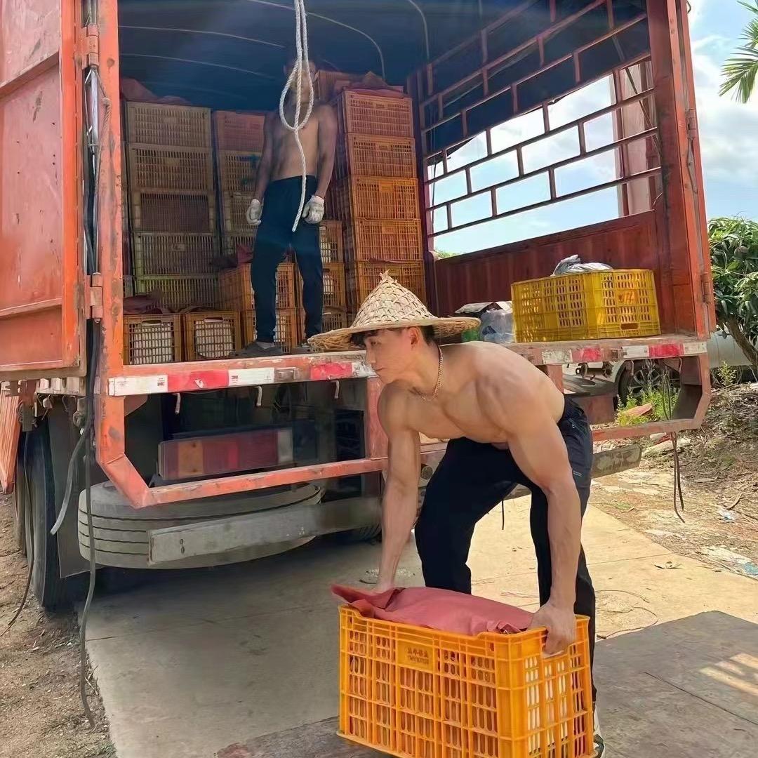 AC农产全能选手🍉🍊🥬
