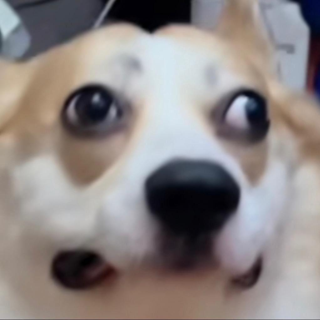 板眼儿多