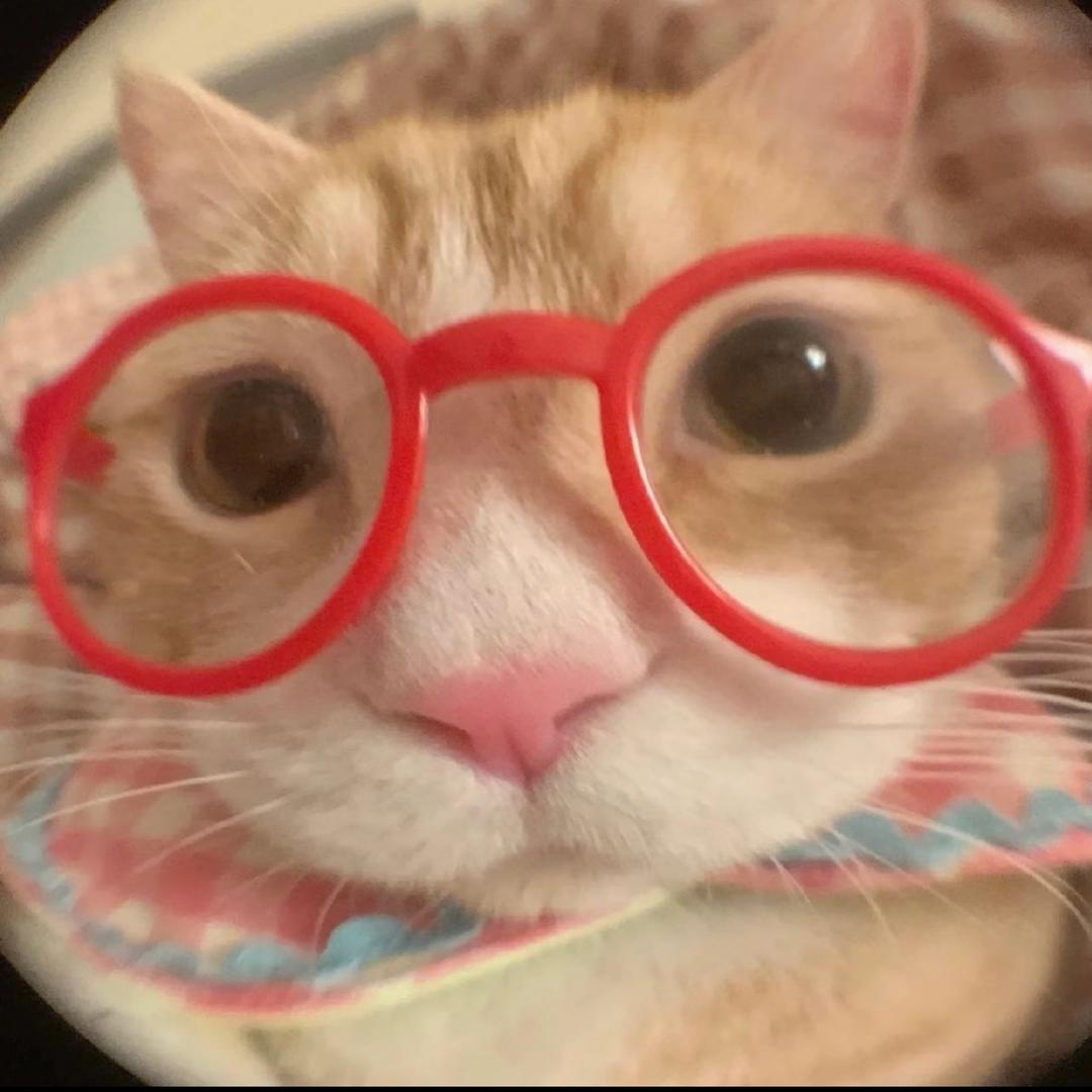 歪歪