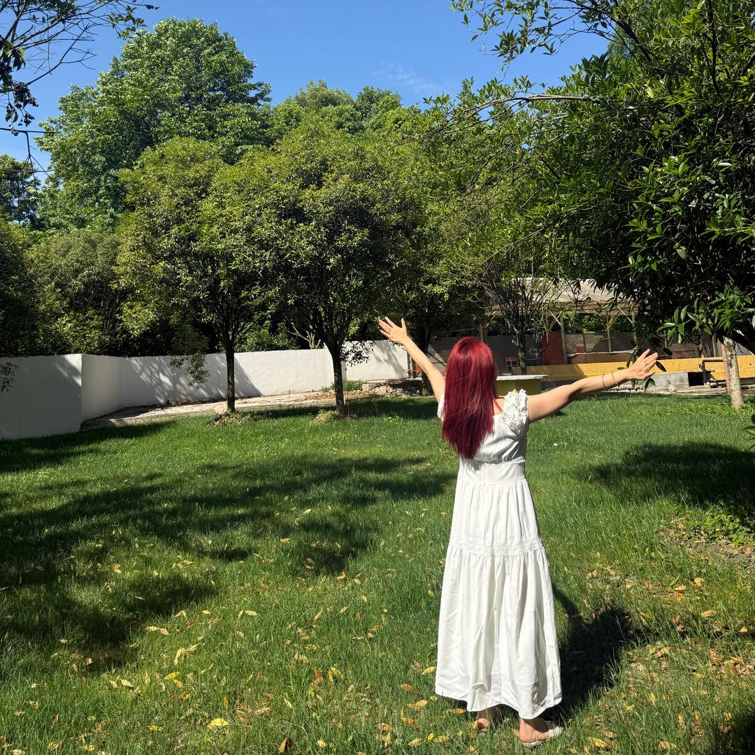 康康的成长日记（带娃版