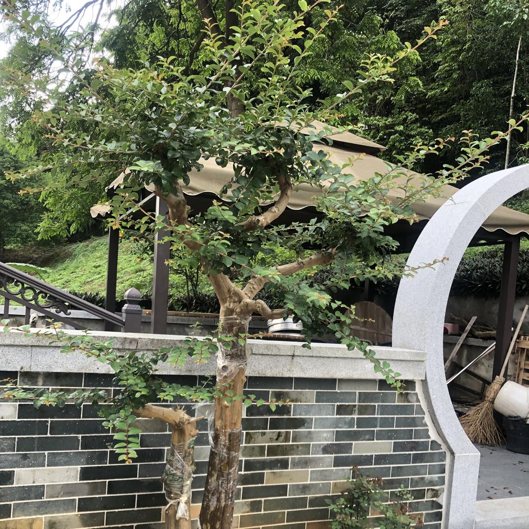 好洁丽家居