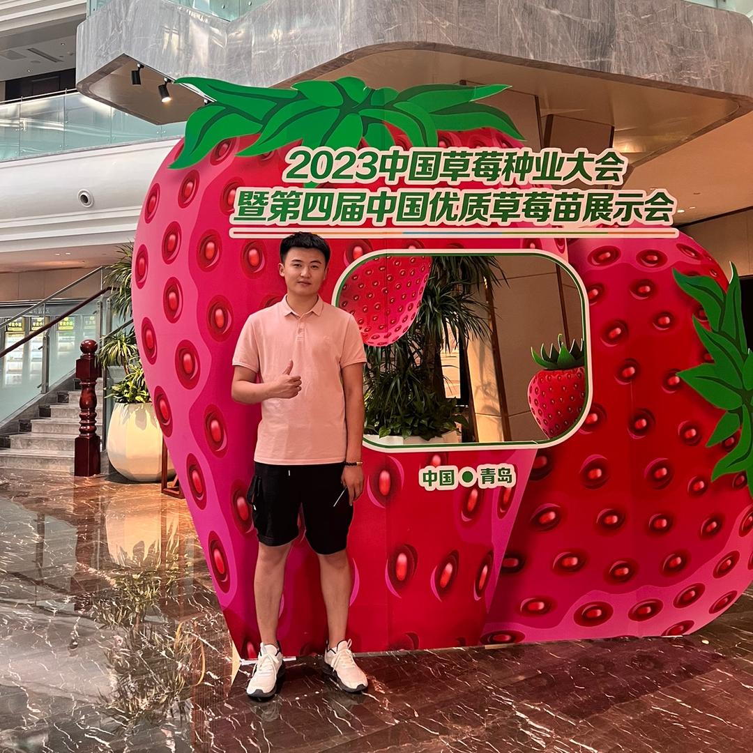 小王讲草莓（草莓苗基地）