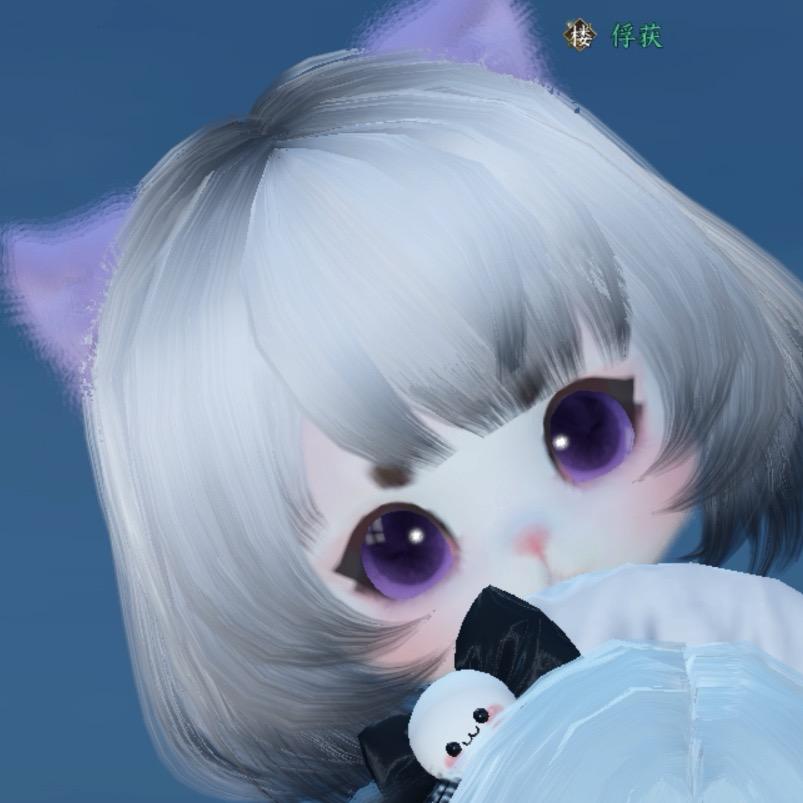 whynot头像