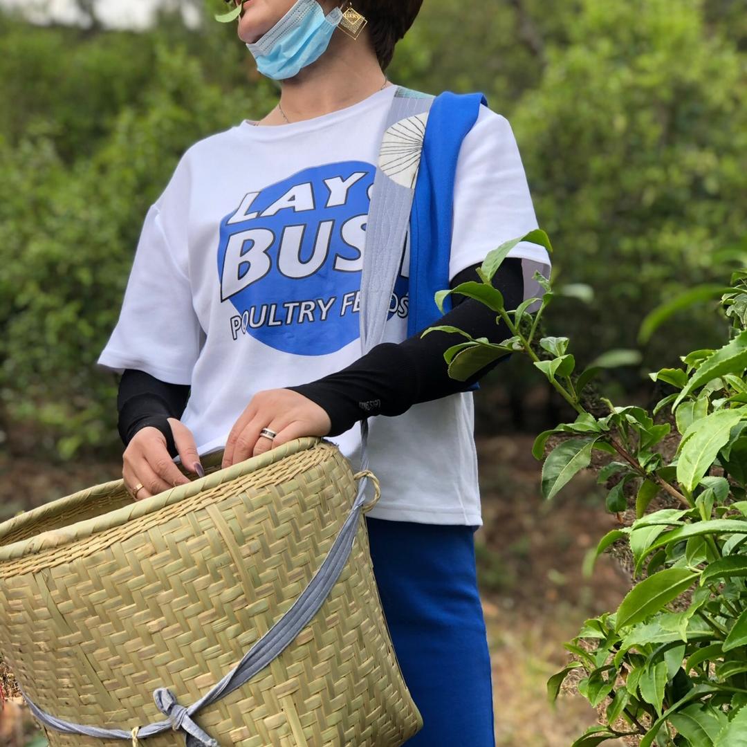 古茶香醇