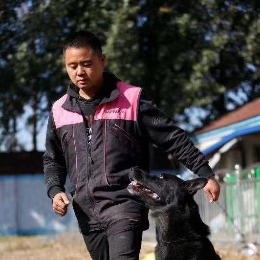 济南训犬学校