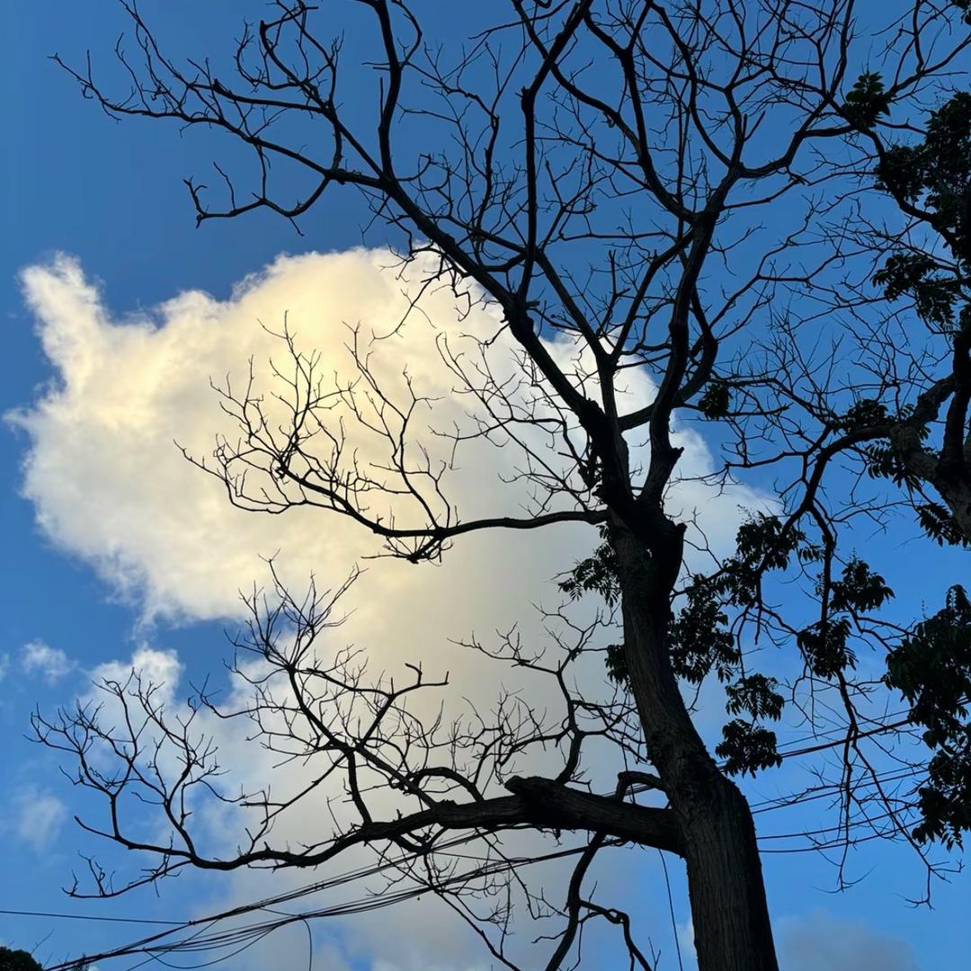 清风明月