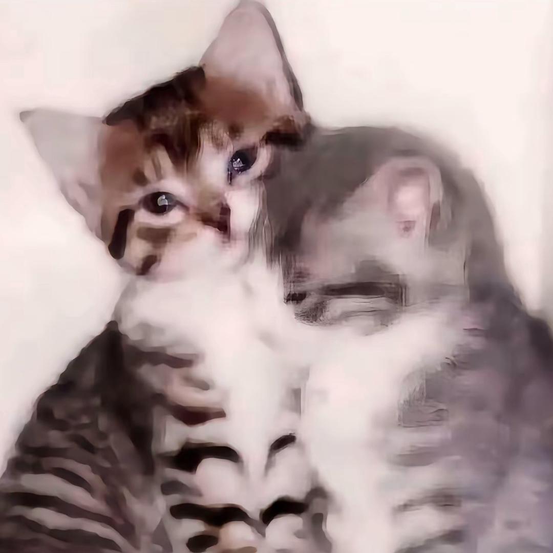 梨什么花