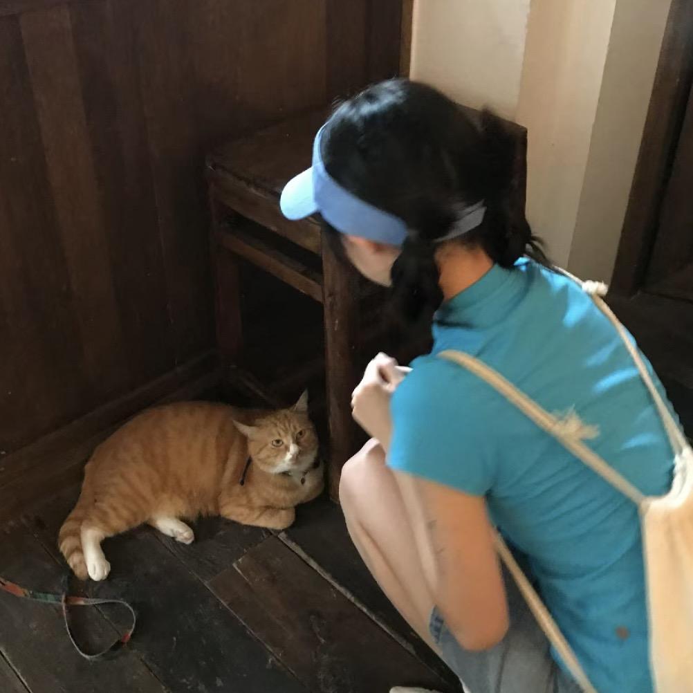 上天会眷顾热血笨蛋^