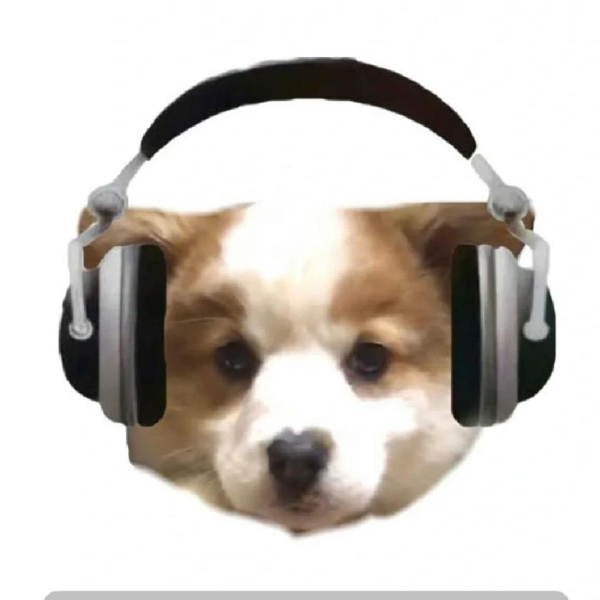 Hong崽