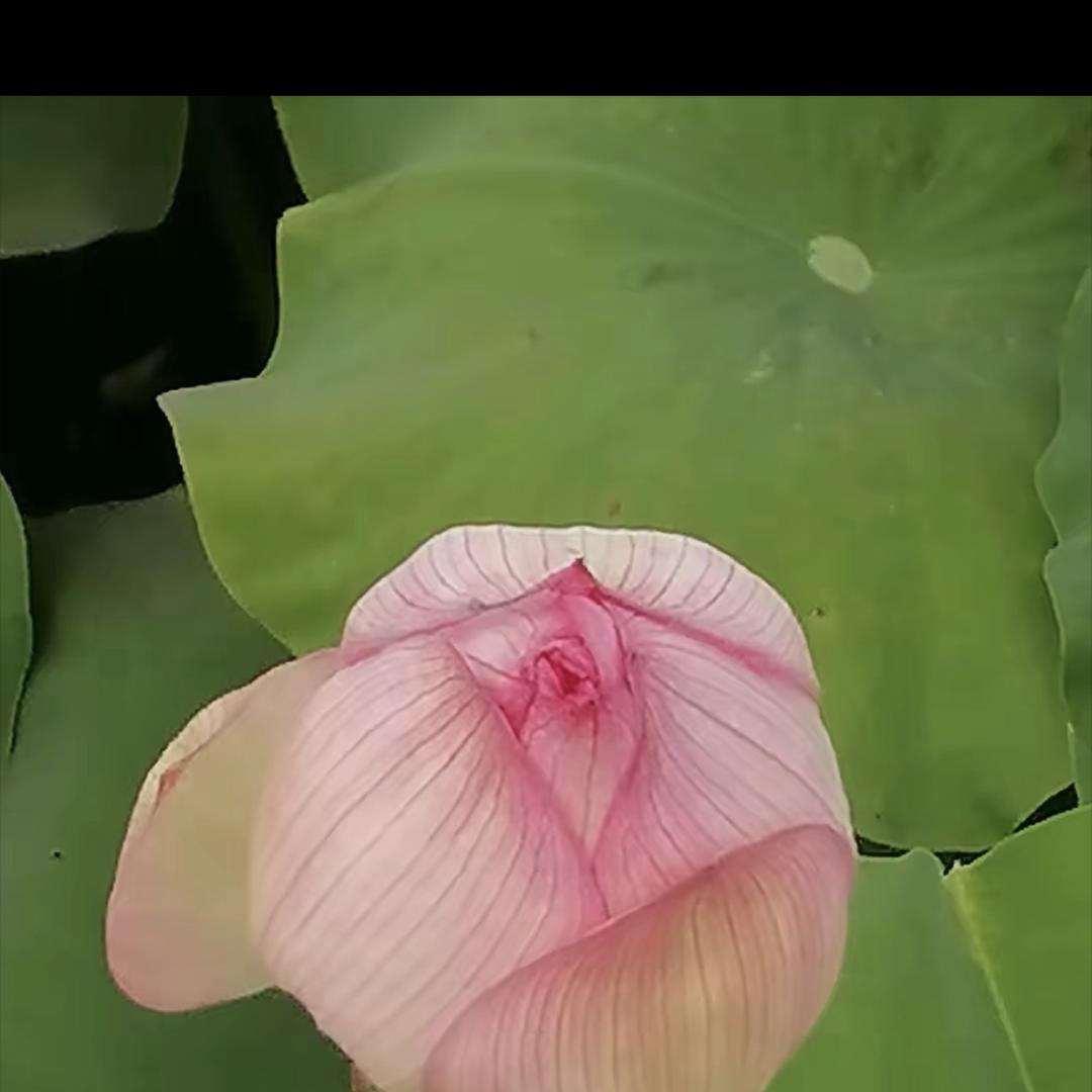 邵东市大禾塘海荣百货商行